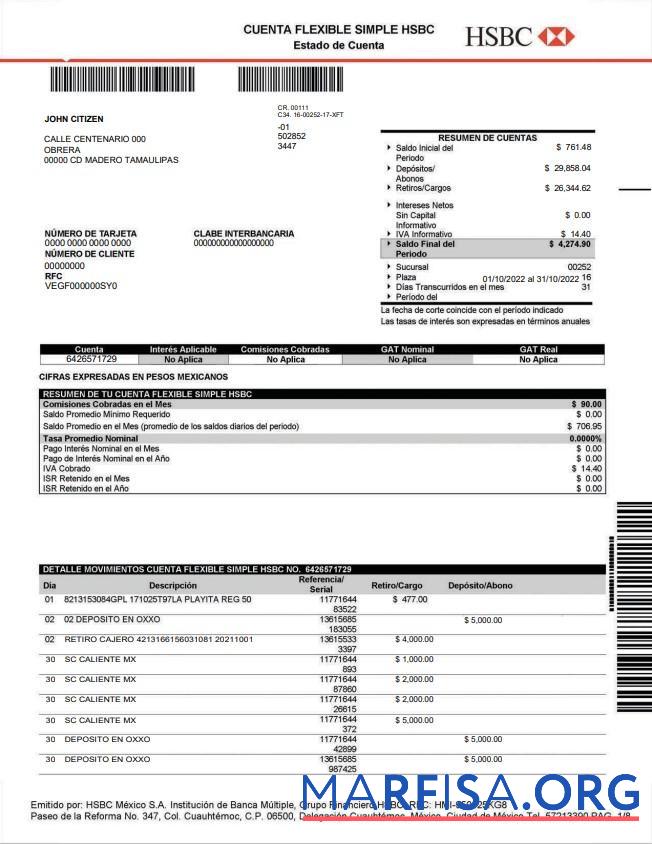 Blank Mexico HSBC bank statement word example